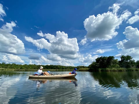 Guest photo. Kayaking the beautiful Halls River. (Photo taken 5 min paddle away)
