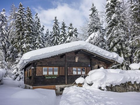 Cabin Puutz - cabin, shower, toilet, 2 bedrooms Apartment in Salzburgerland