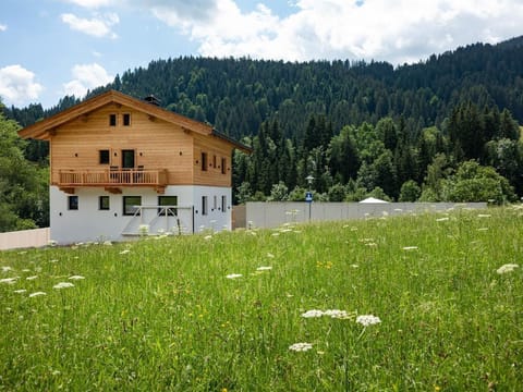 Kaiser Chalet - Holiday home, 4 bedrooms and 2 bathrooms Apartment in Salzburgerland