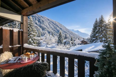 Splendid Mont Blanc view from the balcony