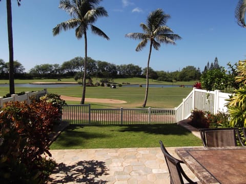View From Patio & Living Room