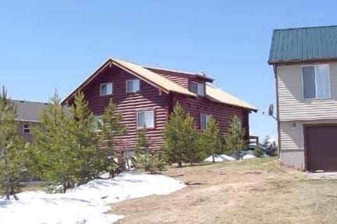 Cabin with large pine tree lined entry