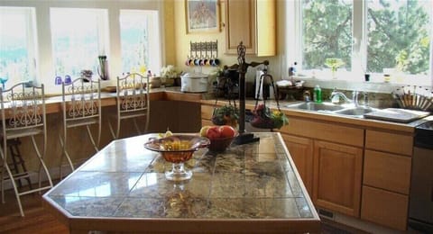 gourmet kitchen with a view