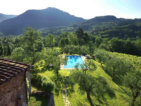 Pool, lawn, olives, vines & mountains - panoramic views