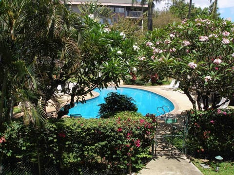 Our pool view from our front door
