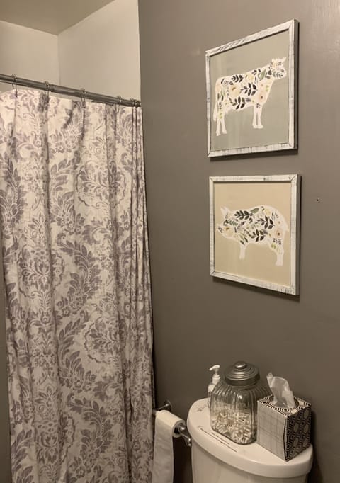 Bathroom with shower and tub & toilet