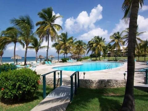Our BIG BEAUTIFUL POOL filtered by mineral salts, not chlorine. gorgeous setting