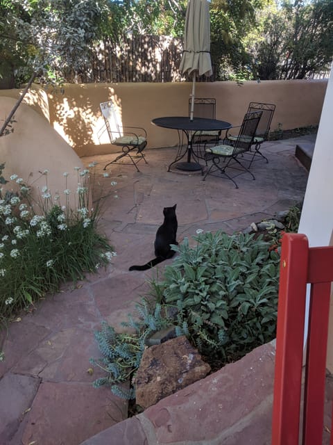 Our patio...with an occasional visitor.  