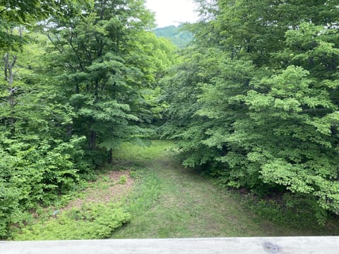 View from deck in the summer