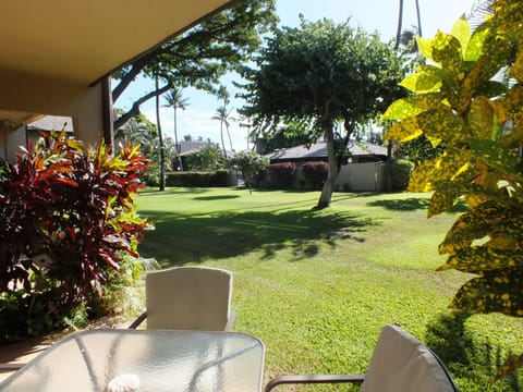 View from the lanai of gardens and the pool area.