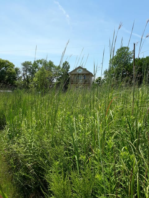 The tiny house is beautiful from many angles walking the Prairie trails.
