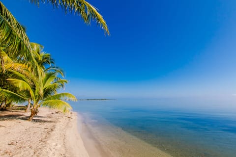 2 minutes walk to the beach