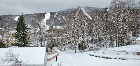 ski in-out, panoramic views from living rm