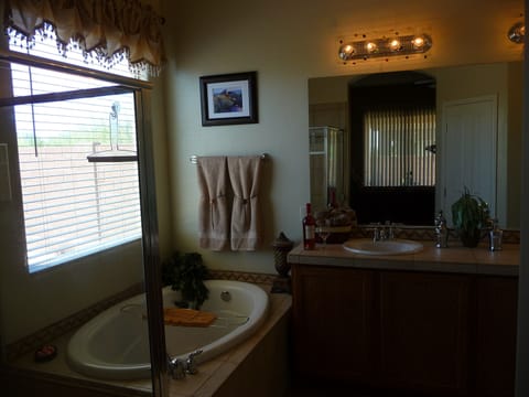 Master Bathroom with a view of the desert