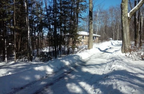 Winter -
Approaching BUCKRUN
