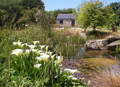view outside front window