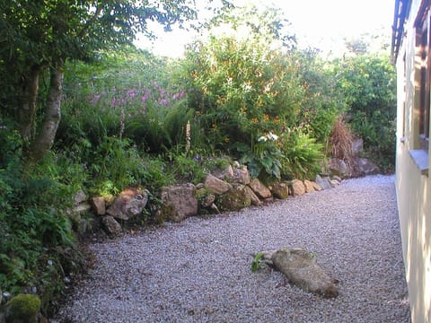 back garden