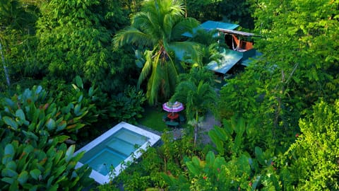 Jungle living in style, a pool and a secluded  beach on the Osa Peninsula, CR