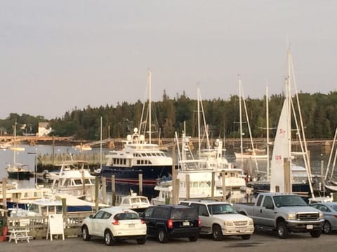 Great views of soaring eagles, offshore islands, and magificient yachts!
