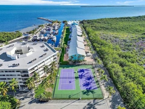 Aerial view - Tennis and pickle ball courts