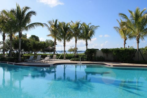 You can't miss taking incredible photos - Ocean, boats & wildlife are all around