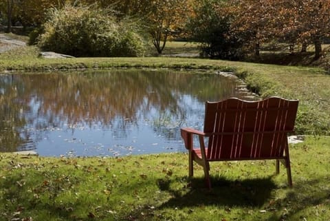 Bring your fishing poles!  One of 3 ponds