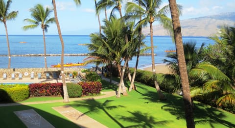 Morning scene of outrigger canoes from our lanai
