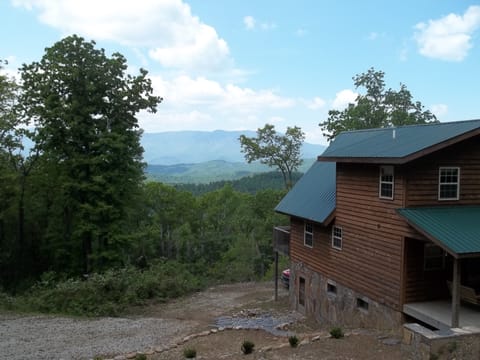View from Grassy Mt.Trail
