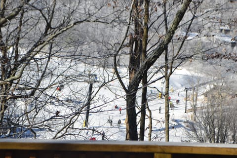 View from back deck