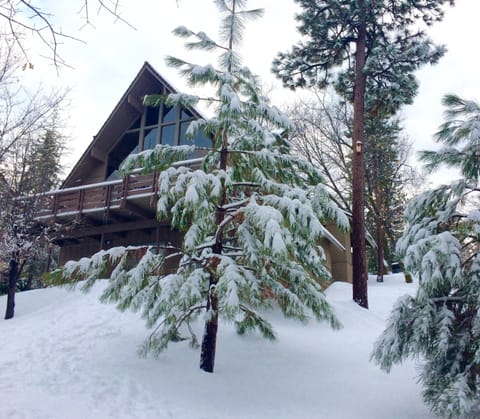 Sledding fun on the property for kids & adults of all ages. 