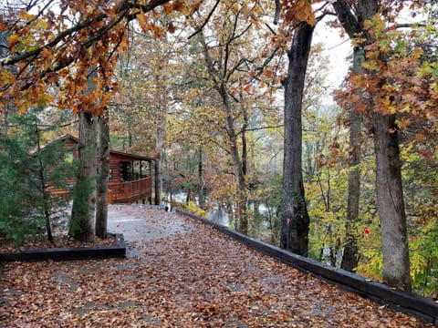 Beautiful VERY PRIVATE  cabin right on the river off main road-NO mountain roads