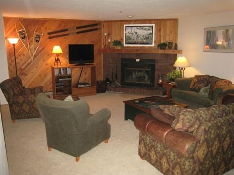Fireplace/Great Room
