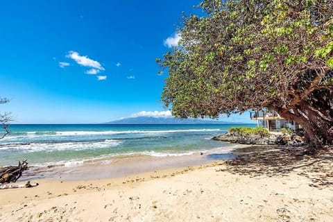 Honokowai Beach Pack (Across the street)