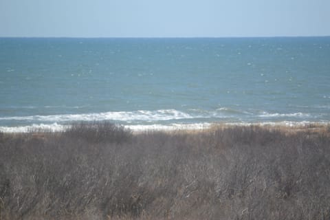 View from the balcony