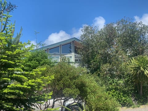 South facing side of house.