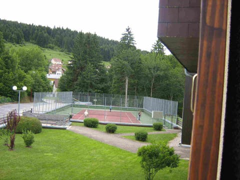 Sport court