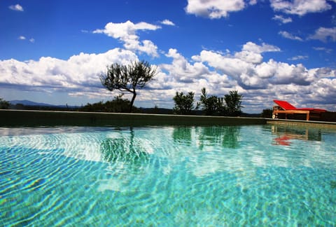 The Pool