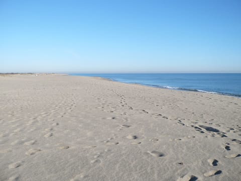 Beach house only near the sandy beach