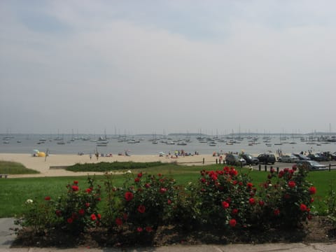 Veteran's Beach as seen from Kennedy Memorial, less than a mile from the condo.
