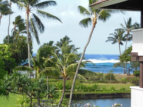 Gorgeous view from lanai