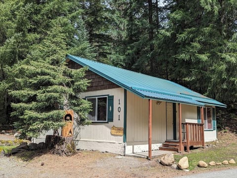 Hall Creek Cabin w/2018 paint job, 2020 roof line  & porch enlargement/upgrade