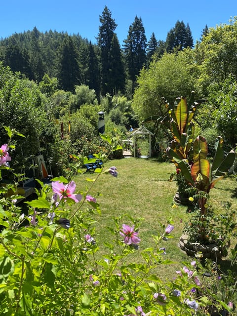 Paradise, beautiful garden, tropical plants, privacy, and the river just beyond.