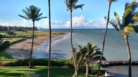 The beach is just steps away
