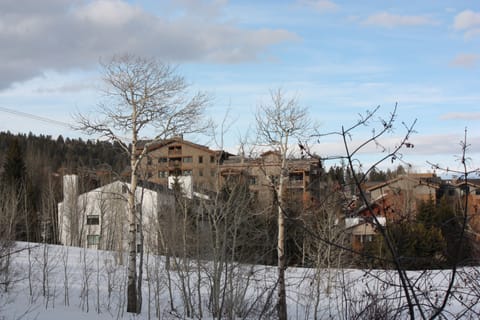 Central village w/ tram line to left of screen.