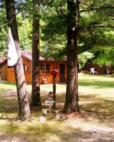 Cozy Log Cabin Nestled in the Woods