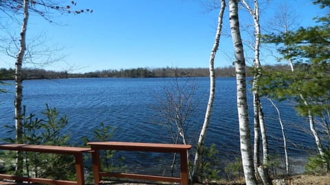 Views of the lake from the property
