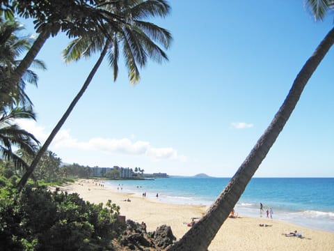 Charley Young Beach which is a short 5 minute walk. 