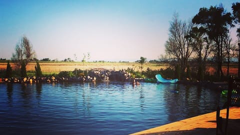 Natural swimming pool