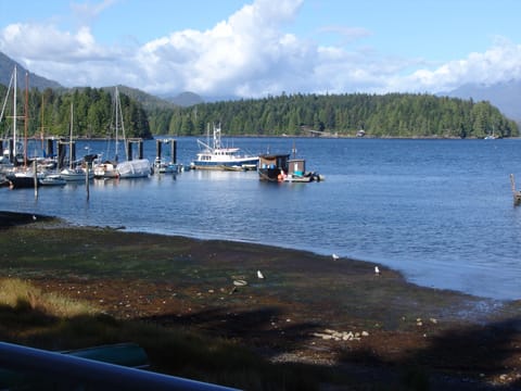 Another view from our deck at a receding tide.