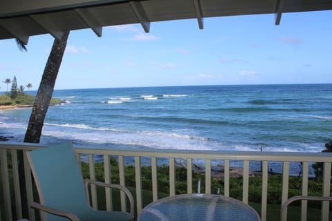 Your view all day long!
